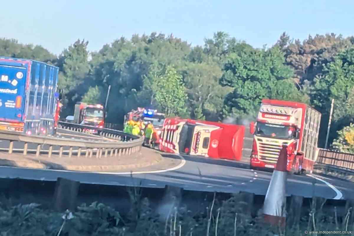 Motorway closed as rescue operation begins to free 40 cows trapped in overturned lorry
