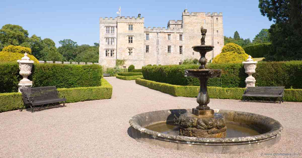 The Northumberland day out with 'haunted' castle and 'remarkable' rare wildlife