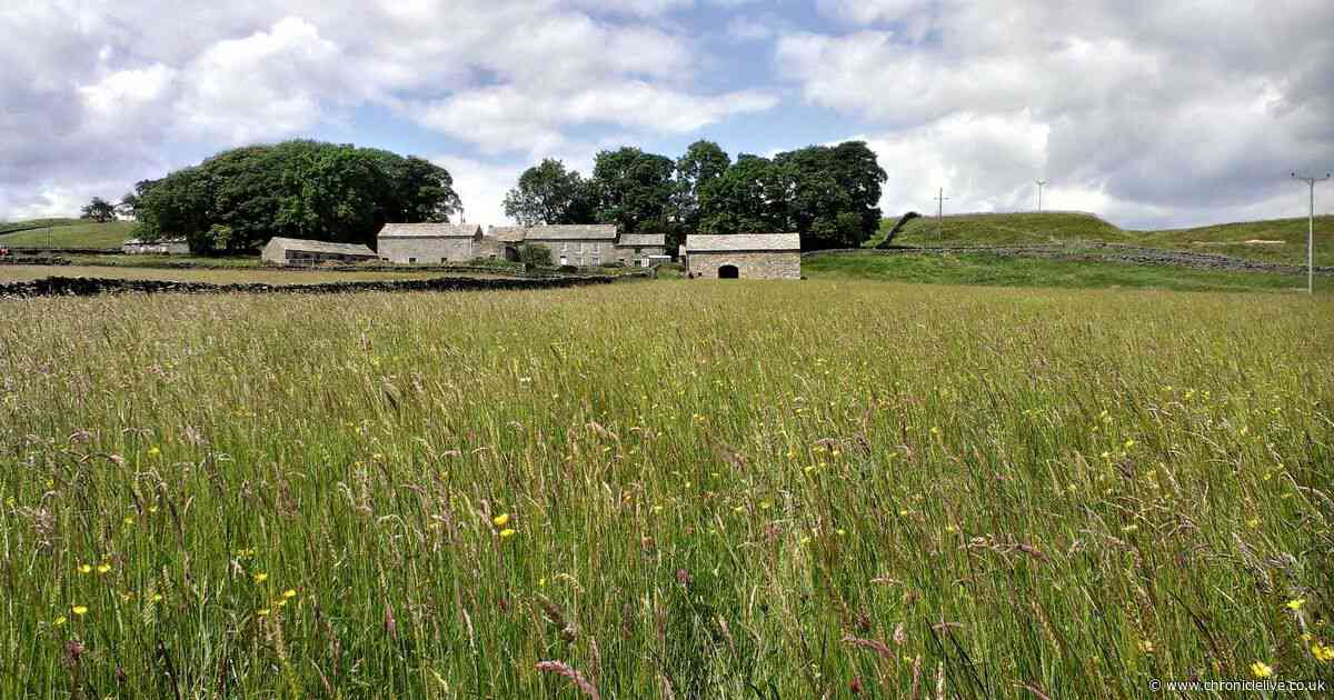 The County Durham nature reserve rich in wildlife named among 'finest in UK'
