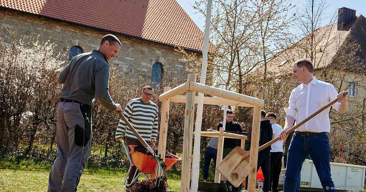 Bamberg: Projekt für Klimaschutz - neue Bäume für Auferstehungskirche