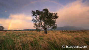 Selective Editing Techniques for Richer Landscapes