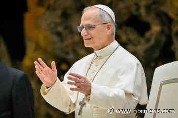 Pope Leo XIV affirms family is based on union between a man and a woman, unborn has inherent dignity