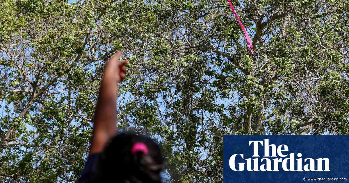 Most of LA’s trees are in wealthy, white neighborhoods. This school is smashing concrete to plant their own