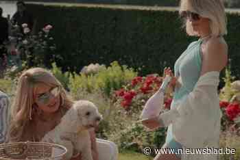 Drama op verjaardagsfeest van hondje Ralphie in ‘Real housewives of Antwerp’: “Dit is een nachtmerrie”