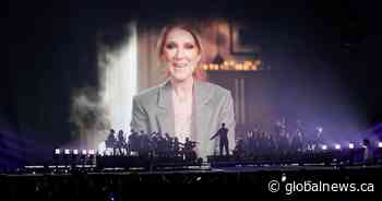 Celine Dion’s jet spotted in Basel amid Eurovision contest: report