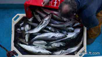 Fishing industry urges Starmer to ‘hold nerve’ in UK-EU pact talks
