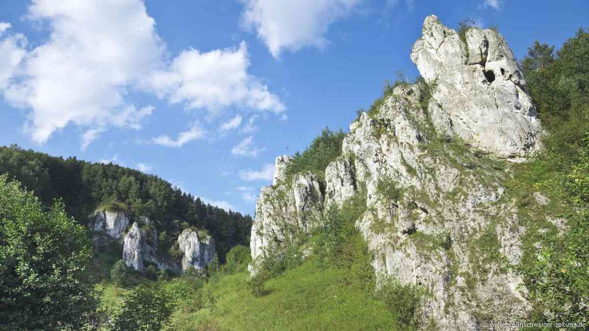 Historischer Fund: Antikes Artefakt gibt Experten Rätsel auf