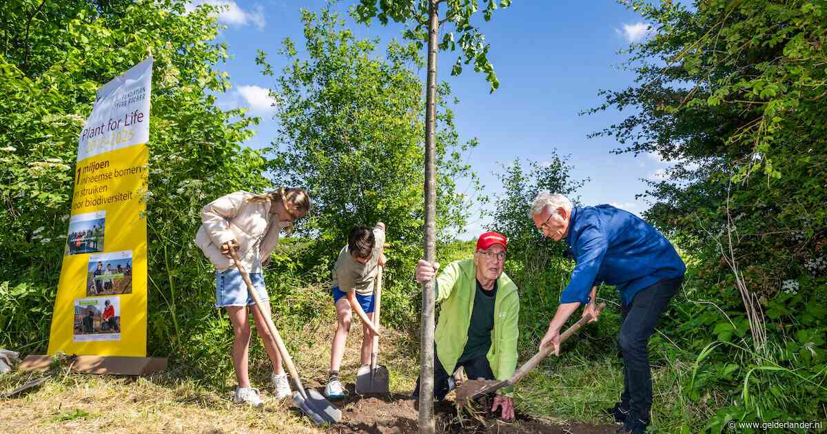 De miljoenste boom is geplant in Bemmel, althans symbolisch