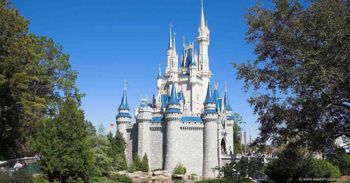 Father Goes Viral After Disney World Disaster: 'I'm Actually Being Punished'