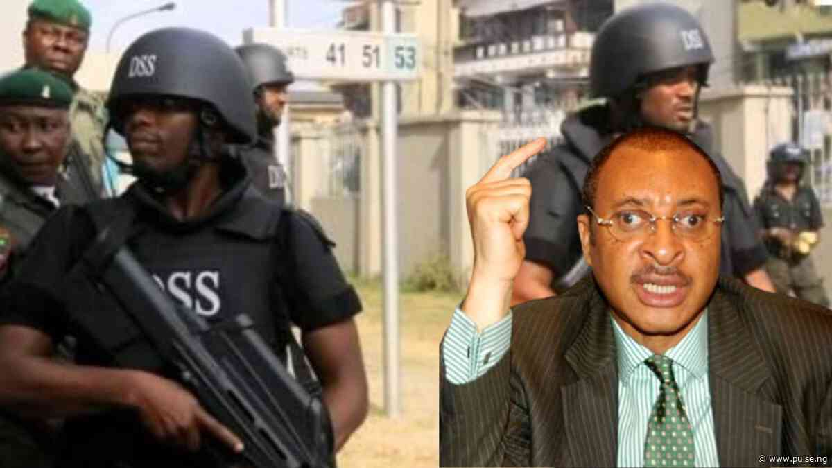 This is cowardice and treachery - Pat Utomi blasts DSS over shadow govt lawsuit