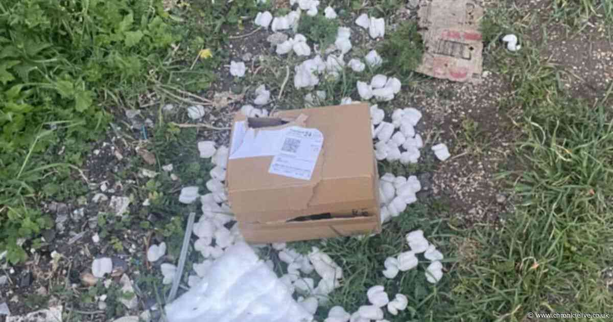 Woman's anger after spiders stolen from home - but urges public not to be scared
