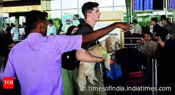 No chaos at major airports as other ground handlers step in