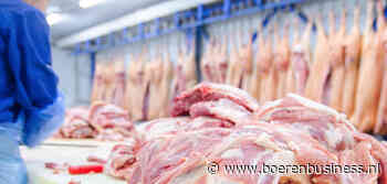 Gaat varkensprijs nu nog stijgen of voorlopig niet?