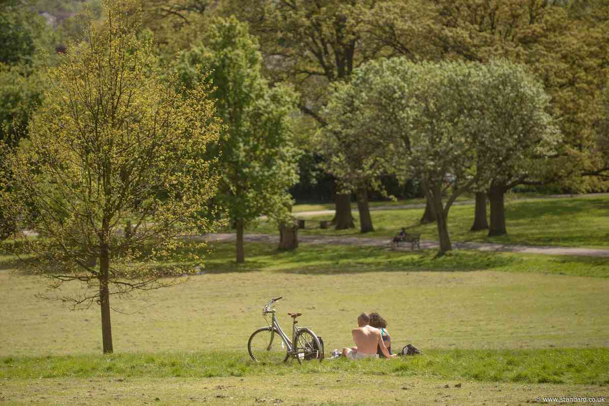 Music festivals in park ‘have to be cancelled’ after court decision, lawyers say