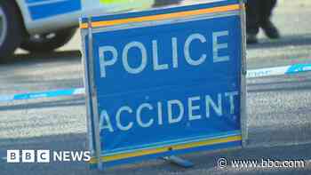 Pedestrian dies after being struck by car