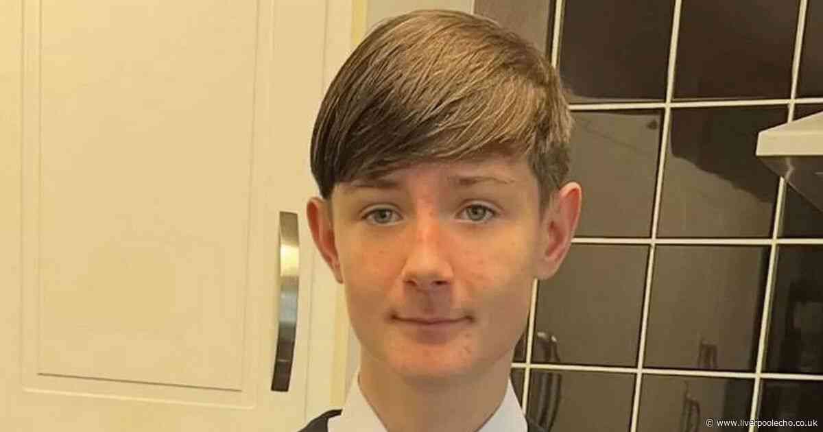 Schoolboy made silly 'split-second decision' and it cost him his life