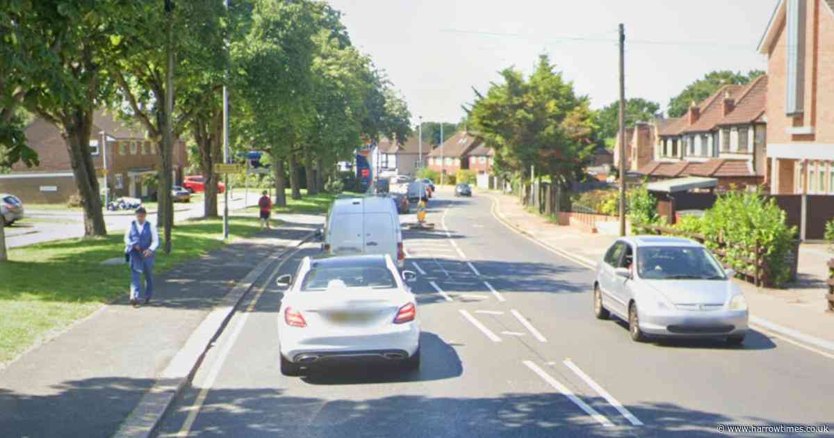 Teenage boy and girl arrested after kittens ‘tortured and killed’ in Ruislip