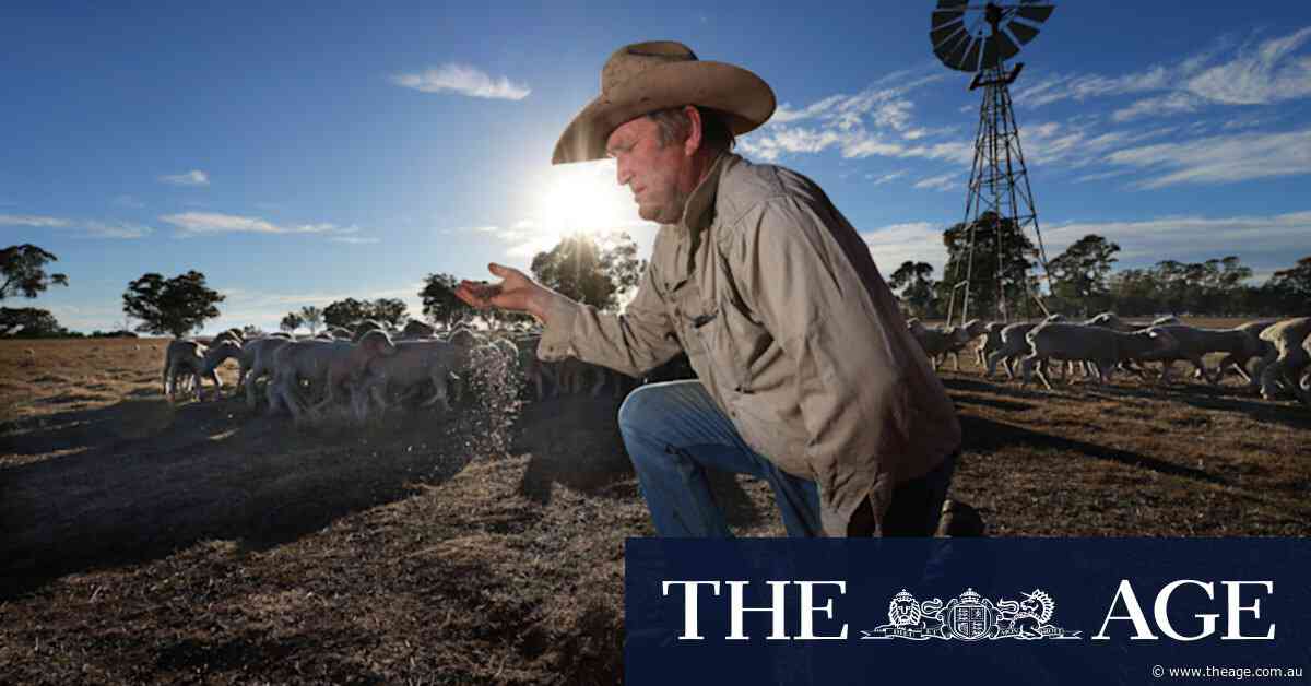The Age photos of the week, May 17, 2025