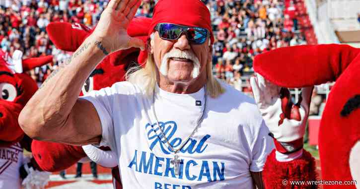 Hulk Hogan Is Trying To Get His Hands On Hooters