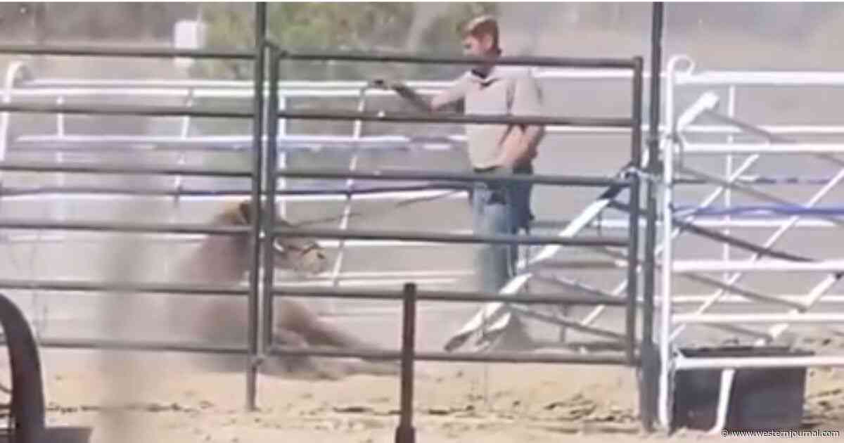 Cause of Death for Veterinarian Found Dead After Viral Horse Abuse Video: Animal Euthanasia Drugs in His System