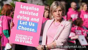 Chaos over dying Bill as more MPs say it's too flawed
