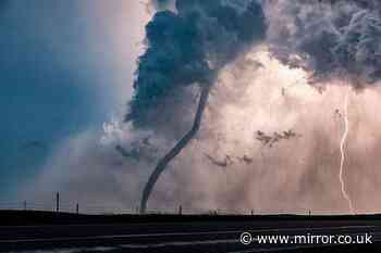 Tornado emergency declared in Illinois as twister hits: 'the situation is life threatening'