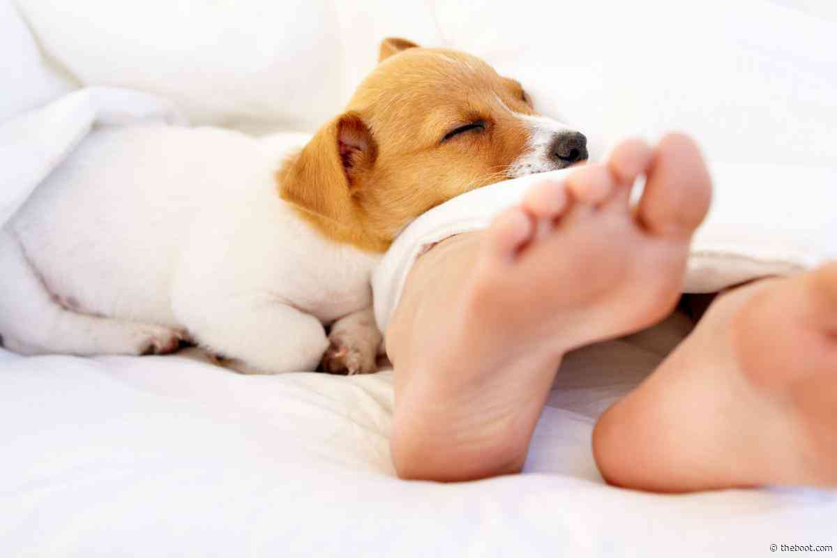 How to Sleep Better With the 'Puppy Paws' Technique