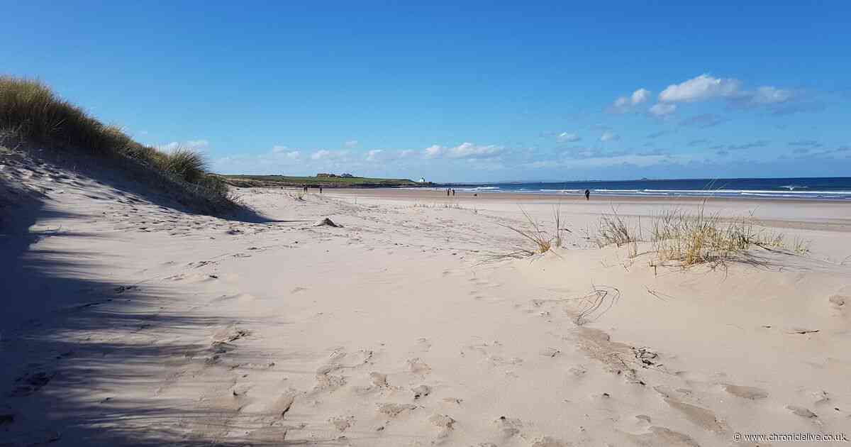 The best Northumberland beaches including UK's favourite spot to go for a 'mindful walk'