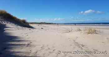 The best Northumberland beaches including UK's favourite spot to go for a 'mindful walk'