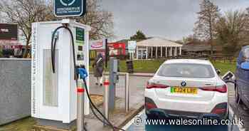 5 big changes people in Wales will need to make to meet net zero targets including less meat