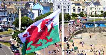 'Too many generations have missed out on speaking Welsh... why wait until 2050?'