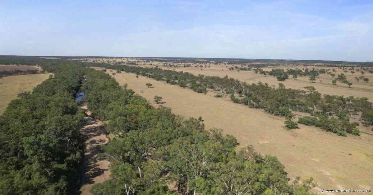 Exclusion-fenced Maranoa River grazing country on the market for $643/acre