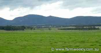 Year-round production can be achieved from these soil types on South Coast