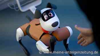 Vom Labor in die Realität: Wo China Roboter einsetzen will