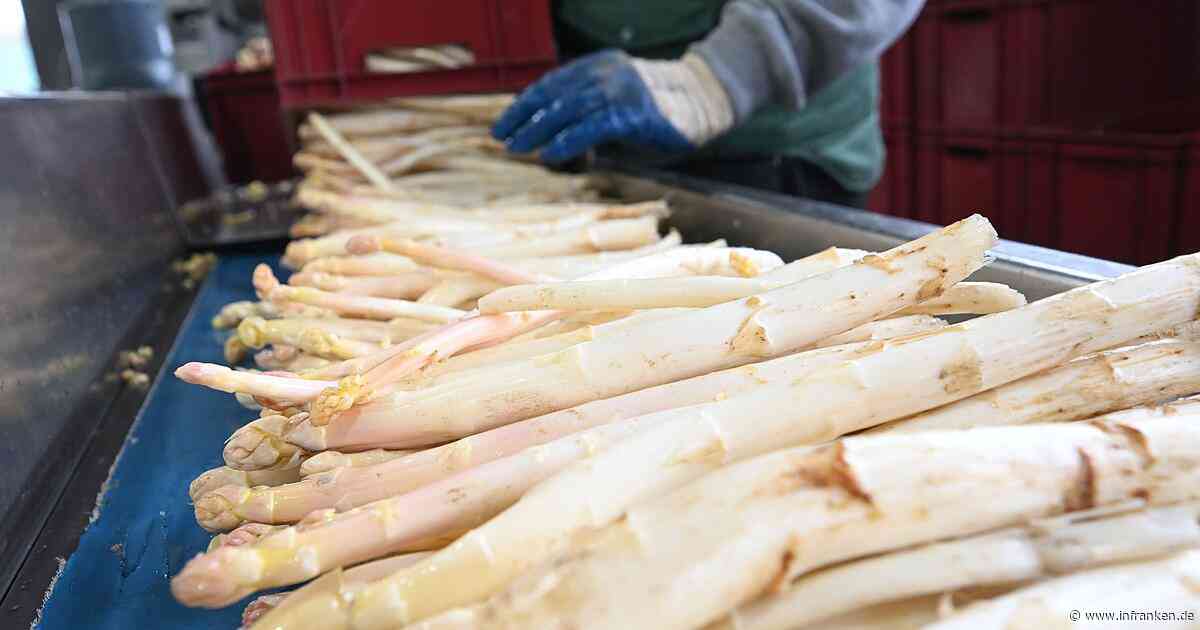 Jetzt können Verbraucher günstig Spargel kaufen