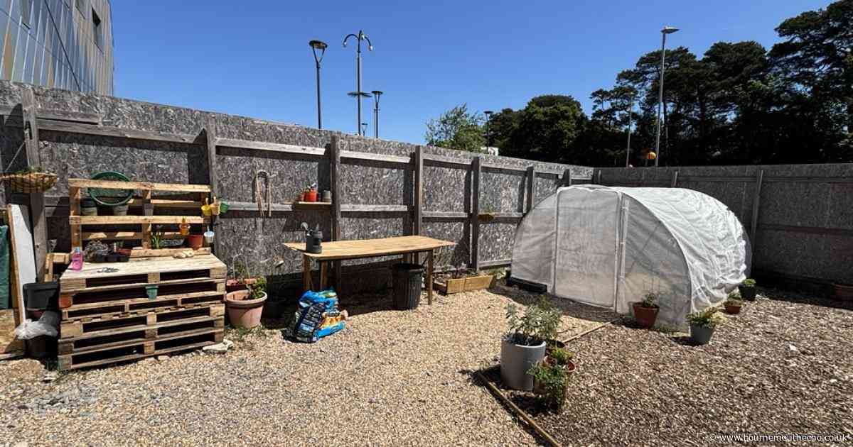 New community garden opens at university to help students
