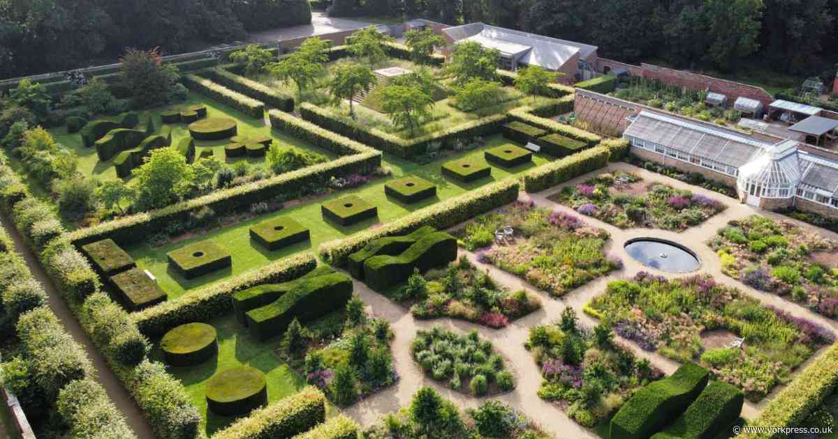 Plants, expert talks, and music at Scampston Walled Garden plant fair