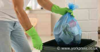 Expert shares the 65p hack that will stop your bins from smelling this summer