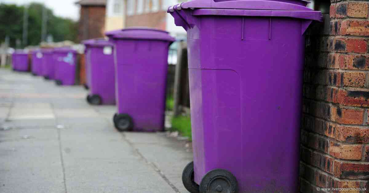 The best way to clean a smelly wheelie bin according to experts
