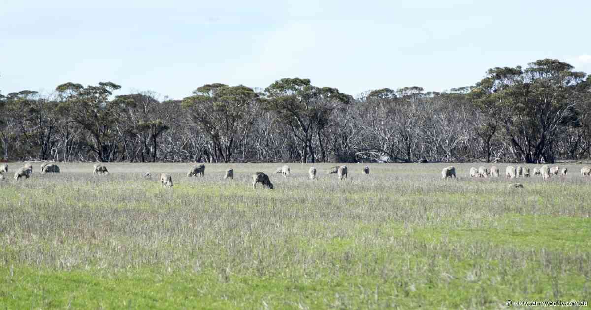 Get your second wind near Esperance where mixed cropping enterprises pay