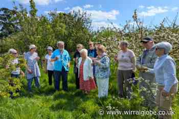 Mayor of Wirral helps volunteers by watering trees