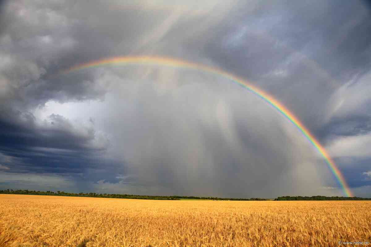 Platform Engineering: Vom Regenbogenteam zur reiferen Plattform