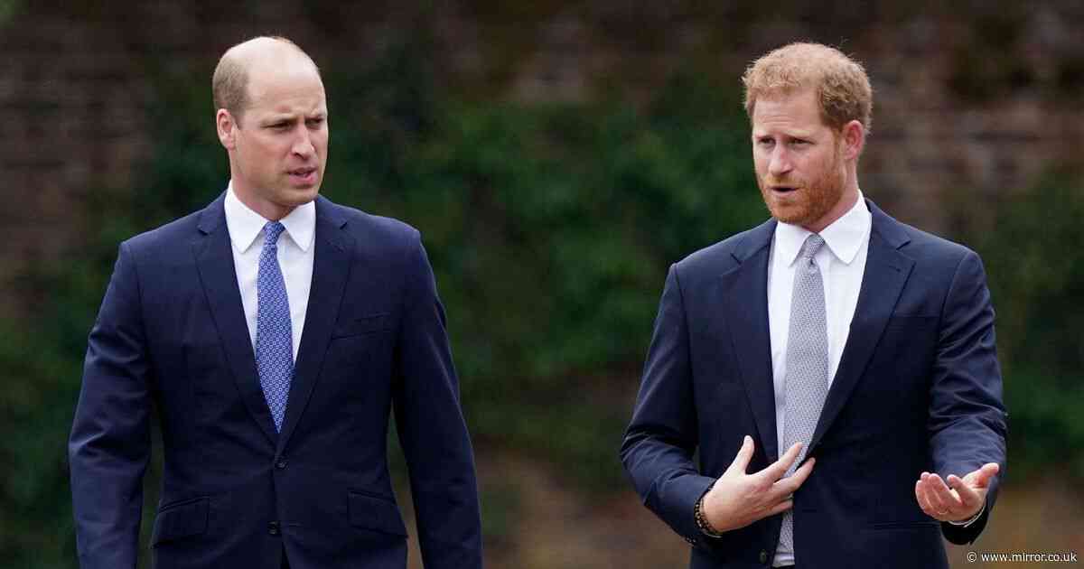 Prince Harry's first words to therapist after 'William fight where shirt was ripped'