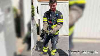 Schlange in Garten entdeckt: Münchner Feuerwehr rückt an