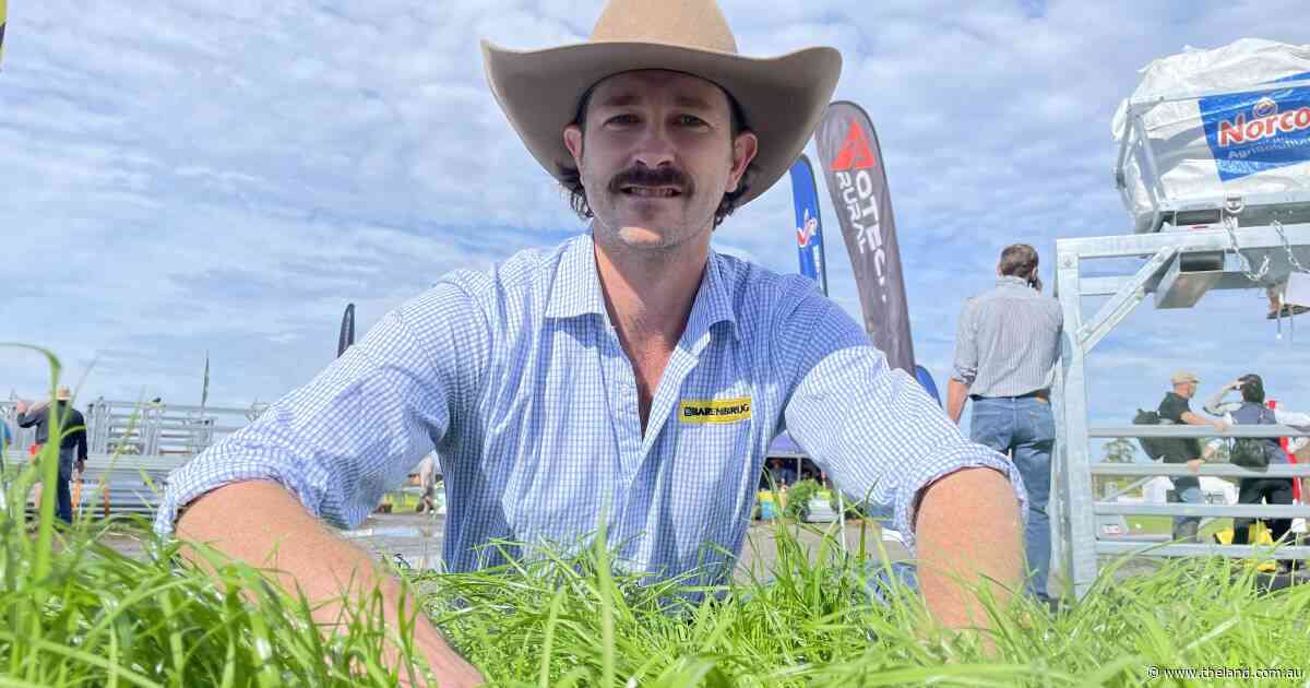 Wet paddocks need the rye remedy in this wetter than usual autumn season