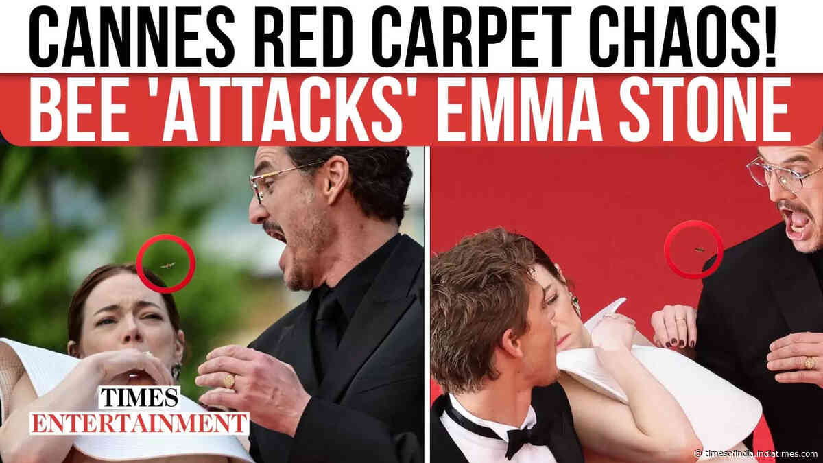 Emma Stone Dodges A Bee At Cannes, Chaotic Red Carpet Moment Captured
