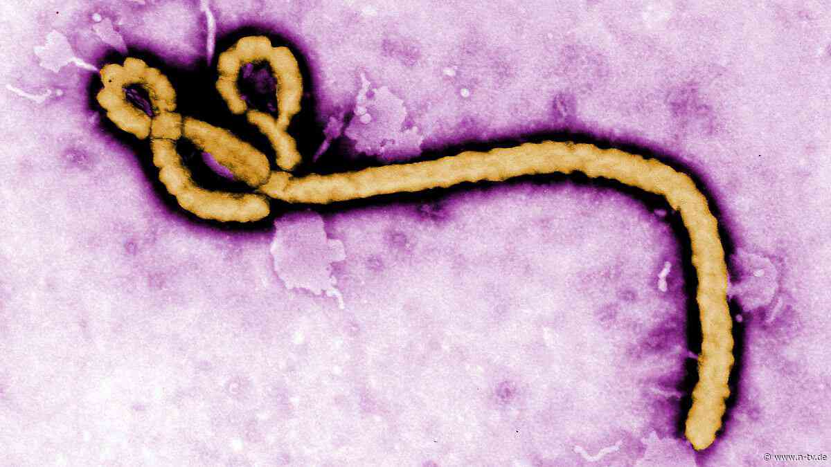 Einsatzkräfte müssen ausrücken: Mann in Tschechien könnte mit Ebola infiziert sein