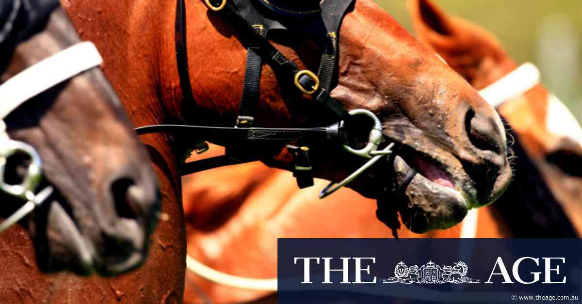 Race-by-race tips and previews for Sunday’s Parkes meeting