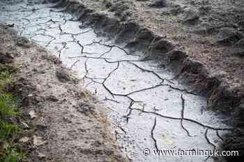 Drought-battered farms need support now, say coalition of groups