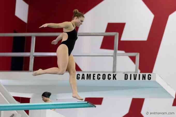 Sophie Verzyl Wins 3m; Joshua Hedberg Takes 10m Title on Final Day of US Diving Nationals